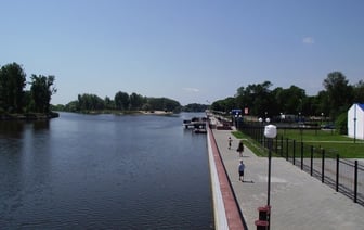 Набережную Пинска оккупировали змеи, свисают даже с деревьев (видео)