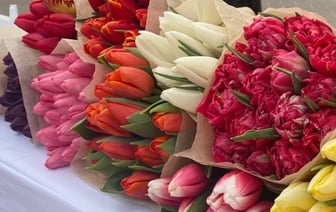 Подарок надолго: как хранить срезанные мимозы, тюльпаны и розы