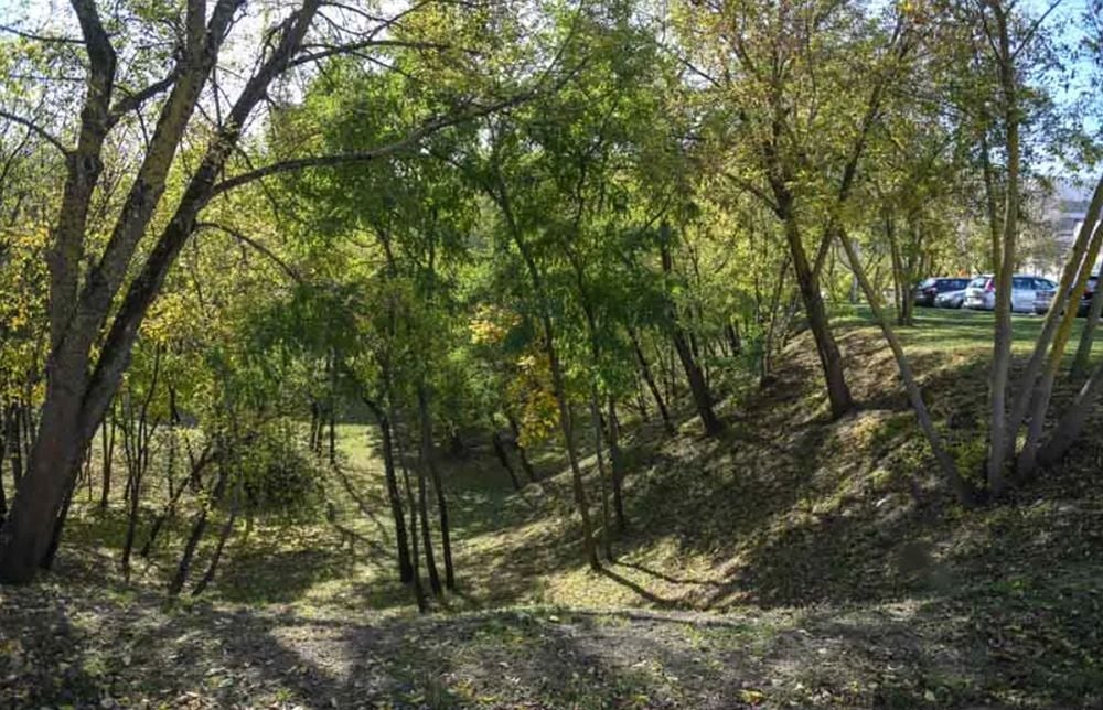 история гомеля