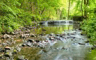 В Чехии не заинтересованы в "Турецком потоке" для газа из России, есть другие партнеры