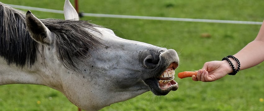 Более чем на 40% подорожали некоторые овощи в мае