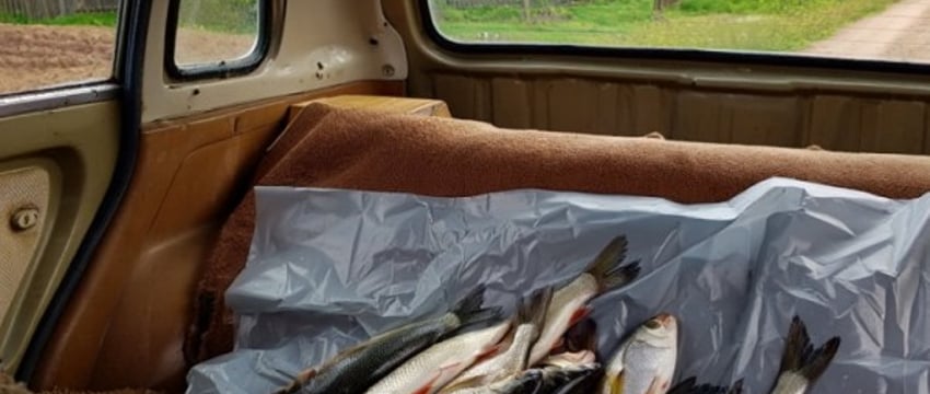 Двум жителям Брестской области рыбалка обошлась почти в 10 000 рублей