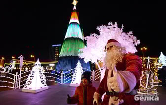 В Гомеле огни на главной елке зажгут 14 декабря