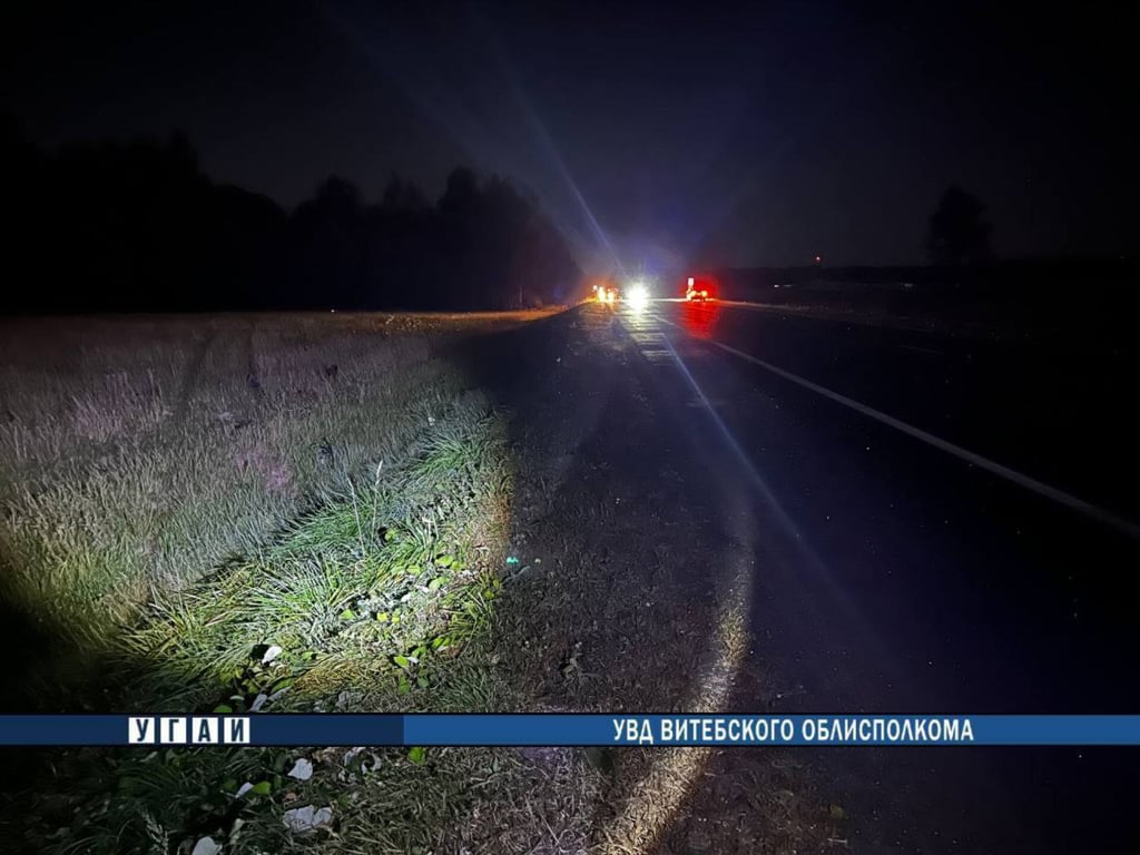 Ребенок погиб в аварии с лосем