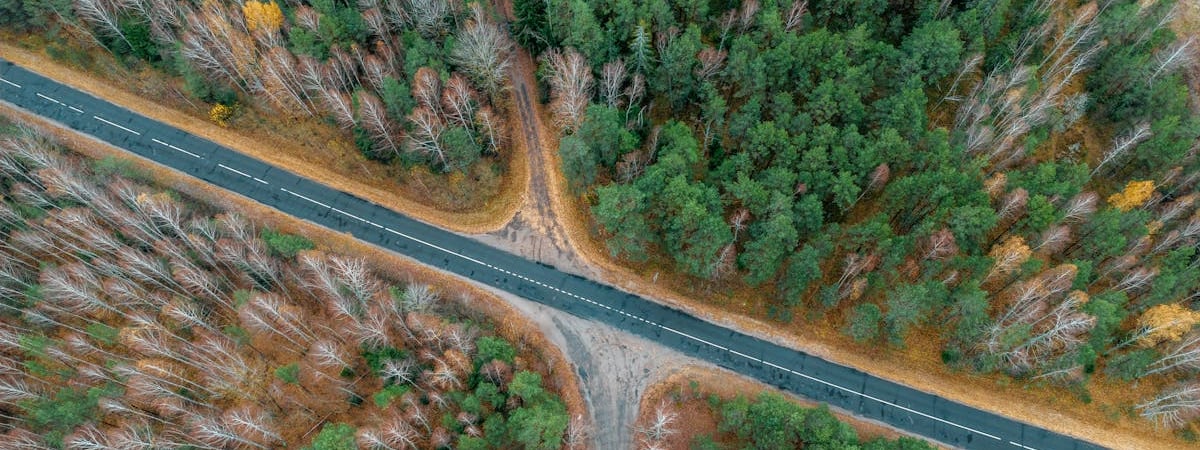 Сельхозпроизводство в Беларуси за январь-октябрь увеличилось на 3,2%