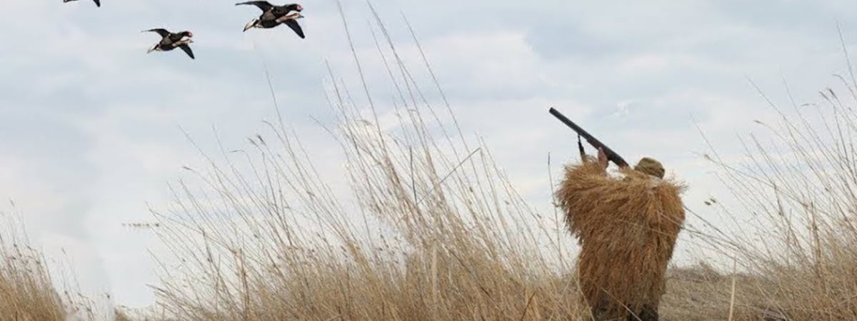 В Беларуси открывается весенний сезон охоты — что нужно помнить