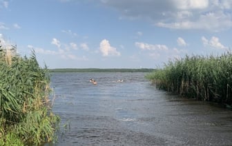 «Зуд купальщиков» — где можно подхватить острое паразитарное заболевание и как этого избежать