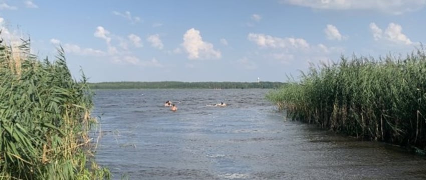«Зуд купальщиков» — где можно подхватить острое паразитарное заболевание и как этого избежать