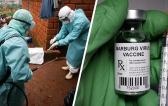 «Лечения не существует!» — В Минздраве Беларуси рассказали, почему приготовились к появлению смертельной лихорадки из Африки