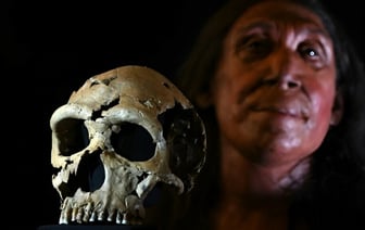 Британские учёные воссоздали лицо женщины, жившей 75 тыс. лет назад
