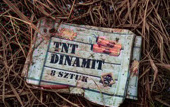 Европол предупредил об угрозах от нацеленных на подростков онлайн-сообществ