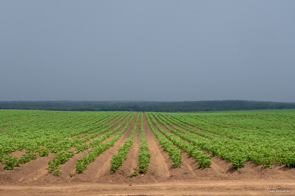 Фото из открытых источников (иллюстративное)