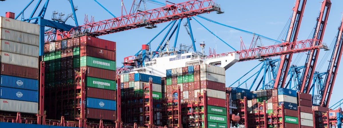 Внешнеторговый оборот Китая со странами Центральной Азии за 2024 год вырос на 6,1%