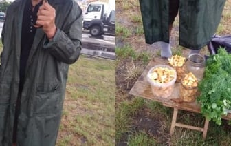 Грибник рассказал, почем лисички из Малоритского района