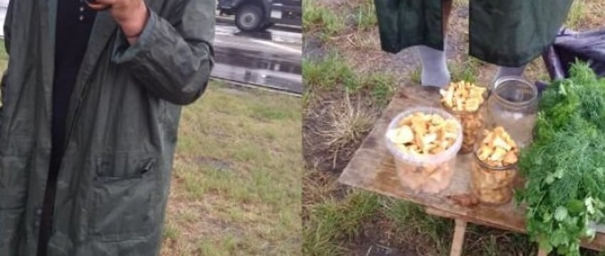 Грибник рассказал, почем лисички из Малоритского района