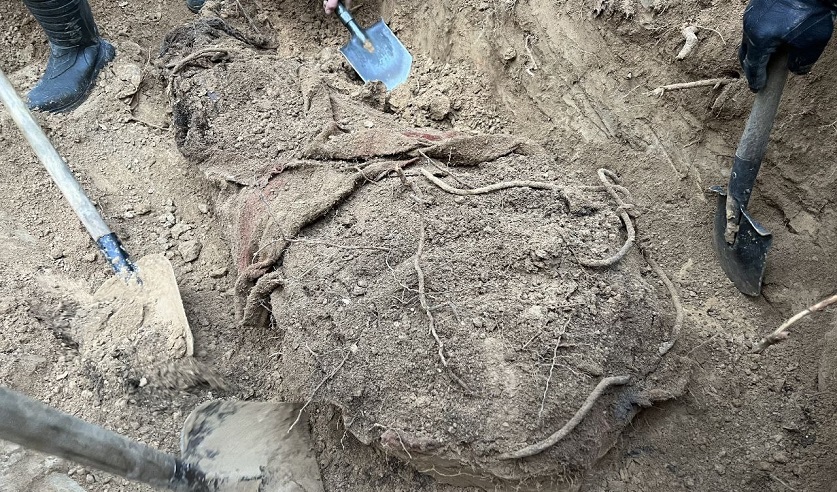 В Минске нашли останки бизнесмена, пропавшего 25 лет назад