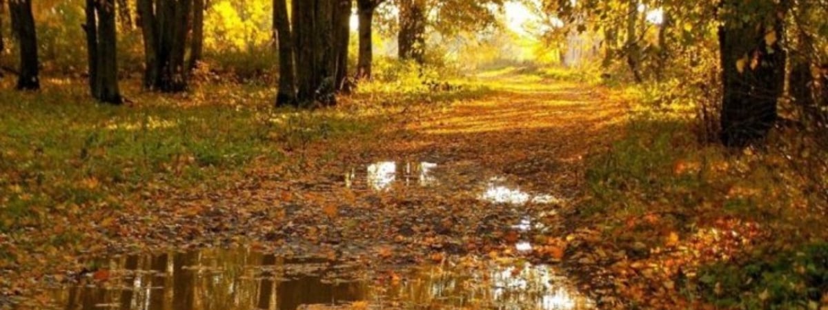 Вот и засентябрит. Погода на неделю с 23 по 29 сентября