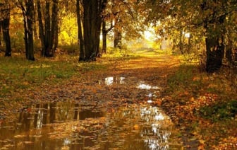 Вот и засентябрит. Погода на неделю с 23 по 29 сентября