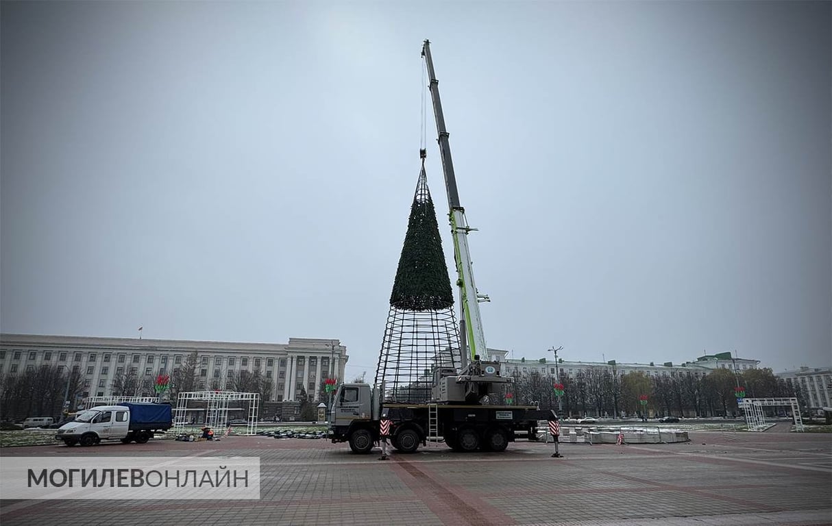 Процесс идет — в Могилеве устанавливают главную елку области