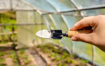 Как использовать соду для защиты растений на огороде? Собрали важные правила — Полезно
