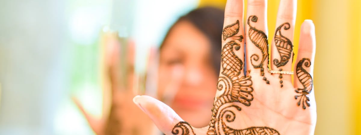 В пяти областях Беларуси ввели запрет на лов щуки