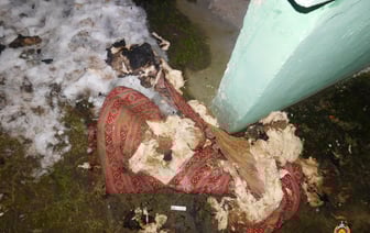 Эксперты по фрагменту ладони установили личность обгоревшего трупа