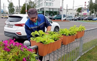 Специалисты ПКУП «Коммунальник» украсили Брест цветами