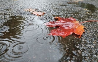 Доставайте галоши. Прогноз погоды на неделю с 30 сентября по 6 октября