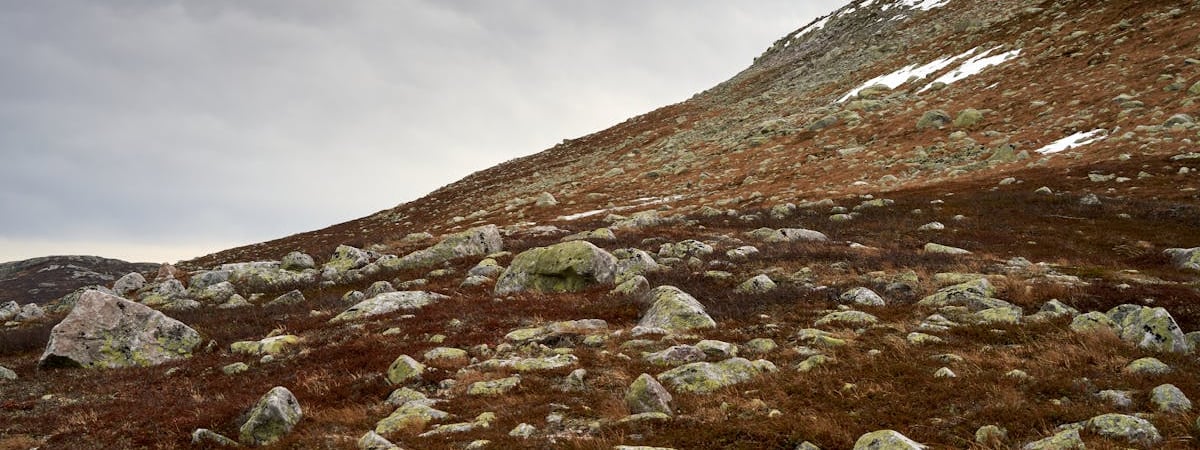 В Норвегии возле Осло из-за вероятной диверсии произошла утечка нефти