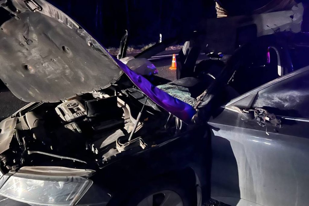 В аварии с лосем в Крупском районе погиб пассажир легковушки