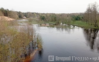 Фотофакт. Посмотрите, как разлилась река в Гродненской области