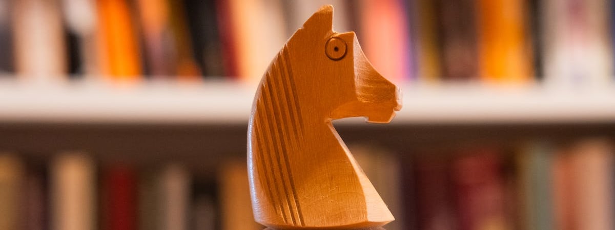 На одном из водохранилищ Гродненщины запрещен лов сома