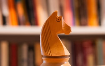 На одном из водохранилищ Гродненщины запрещен лов сома