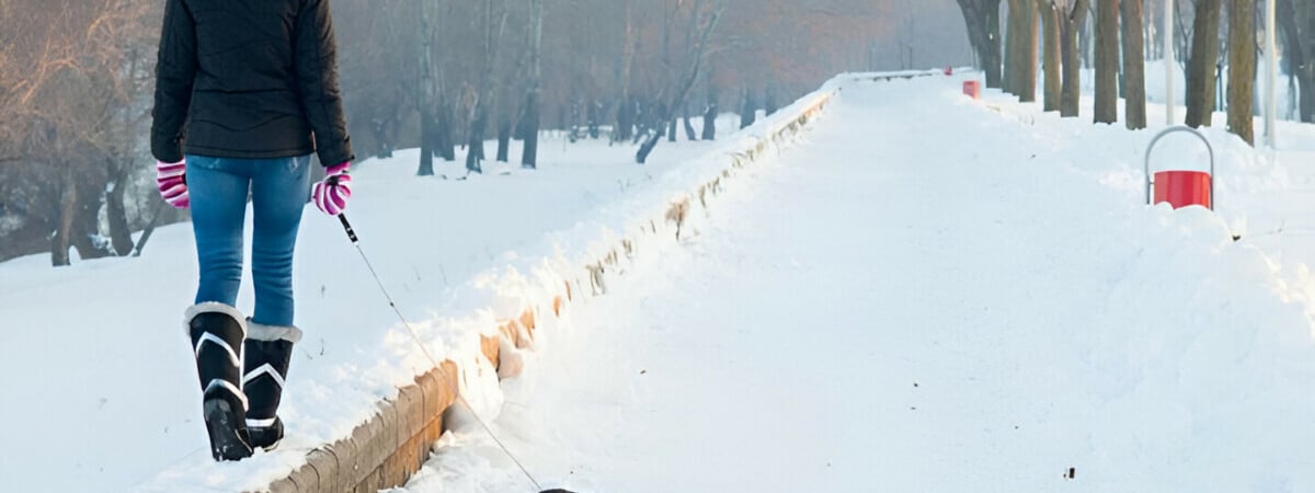 В Польше решили находить и штрафовать владельцев по неубранным кучкам собак. Когда в Беларуси?