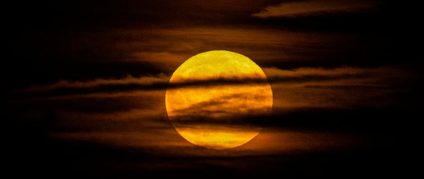 Июльское полнолуние приходится на 21 июля: все, что вам нужно знать