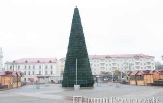 Фотофакт. В центре Гродно устанавливают елку и готовятся к ярмарке