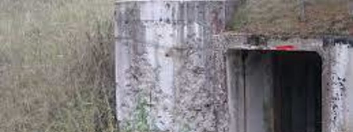 Эстония построит 600 бункеров вдоль границы с Россией