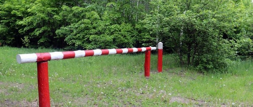 Ограничения на посещение лесов в Беларуси