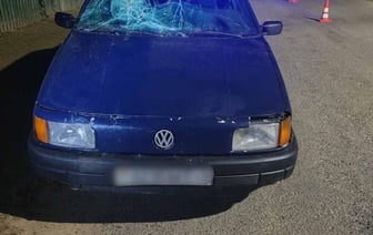 В Ляховичском районе пьяный пешеход попал под колеса Volkswagen