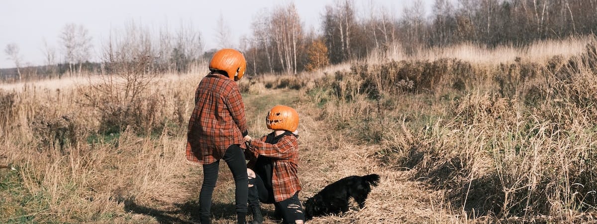 В Литве хотят забирать ВНЖ у белорусов, которые часто ездят на родину