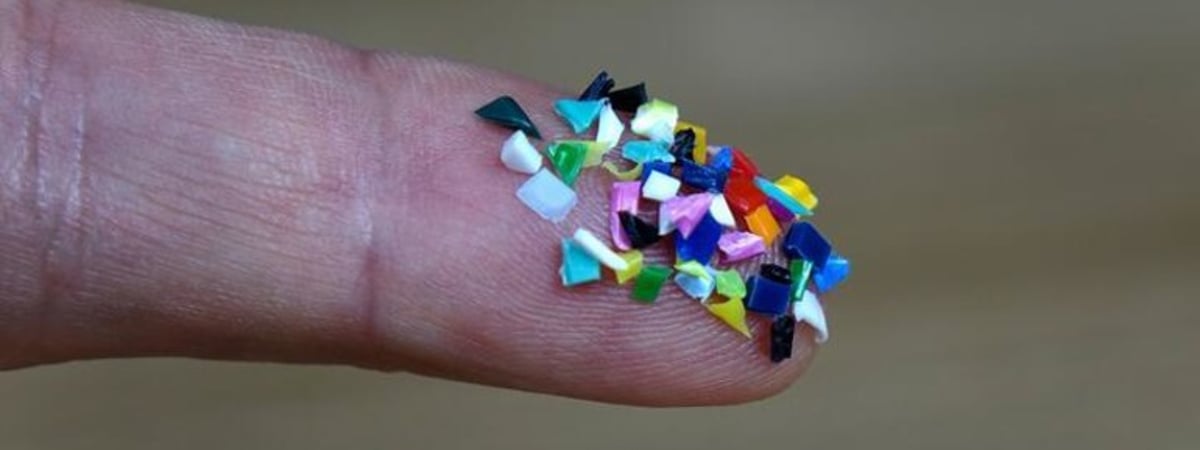 В Западной Сибири осадки идут с микропластиком