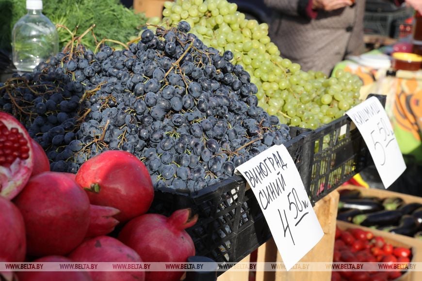 В Бресте стартовали осенние ярмарки - фоторепортаж