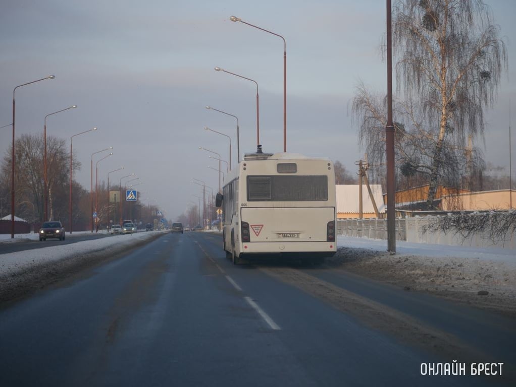 Фото носит иллюстративный характер
