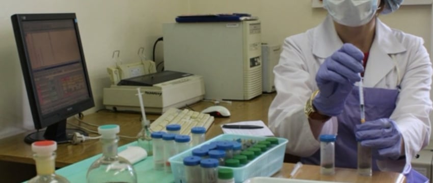 Белорус отравился средством от колорадских жуков