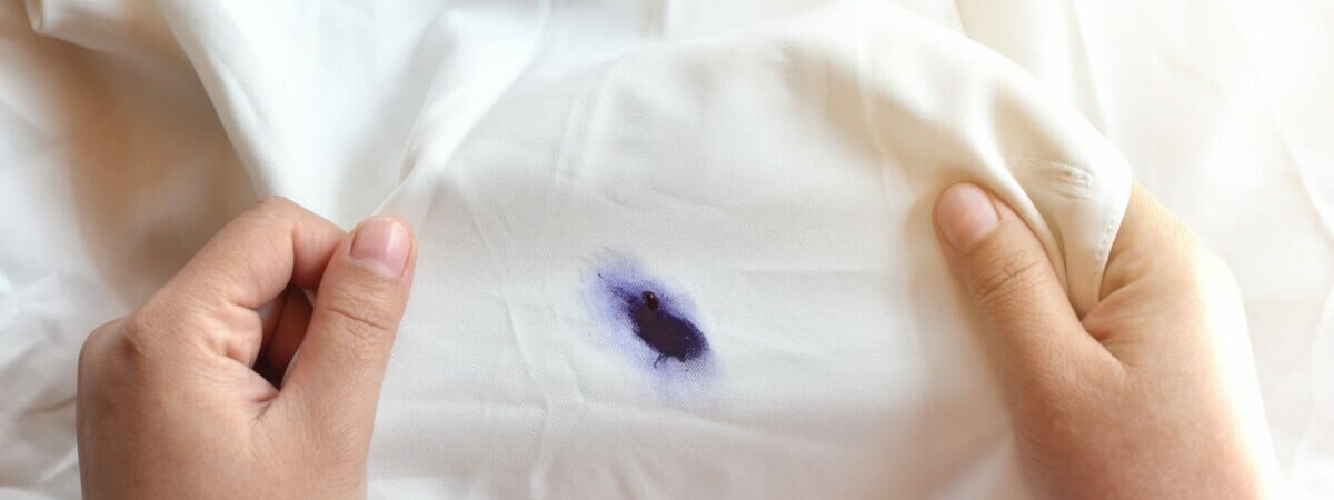 Этот продукт из кухни легко удалит даже старые пятна от ручки на одежде. Займет не более 15 минут — Полезно