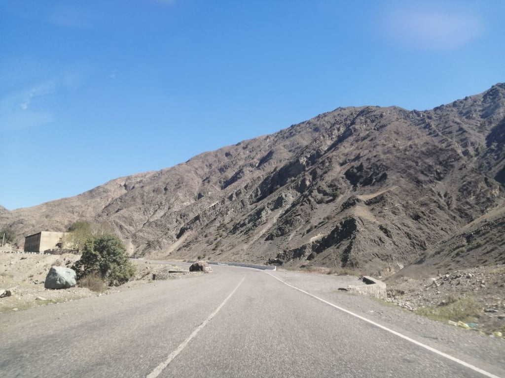 Белорусы посмотрели четыре страны без виз