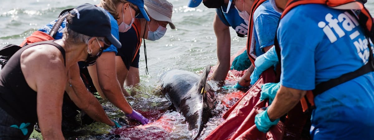 США будут оказывать иностранную помощь, но она должна быть "правильной"