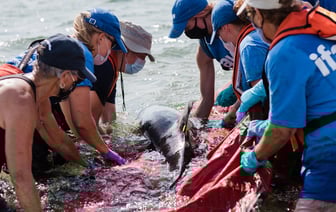 США будут оказывать иностранную помощь, но она должна быть "правильной"