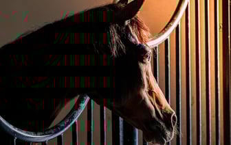 В МАРТ рассказали, почему закрываются магазины торговой сети «Острова чистоты и вкуса»