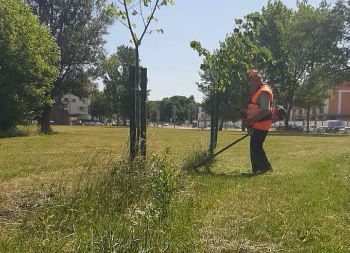 Фото из открытых источников (иллюстративное)